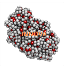 Polyethylene-Glycol-For-Bangalore